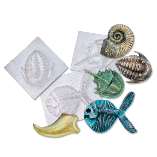 Roylco- Fossil Molds